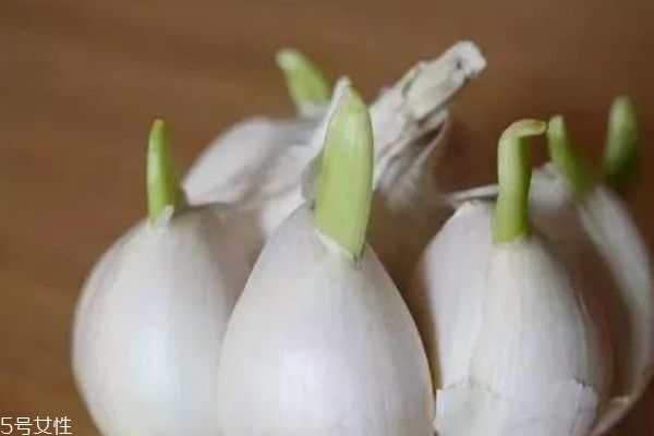 大蒜會壞嗎 發霉的大蒜不能食用