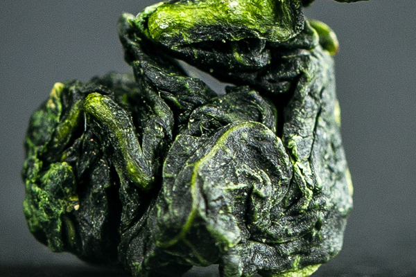 鐵觀音發酵程度哪種好 輕發酵pk中發酵