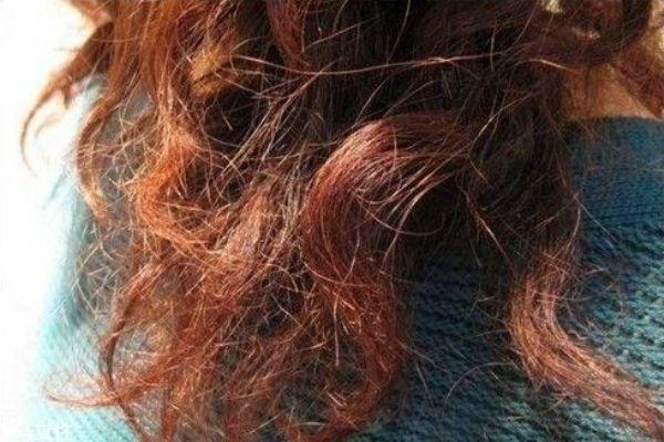 頭發發質不好怎么護理 各種發質的保養護理方法