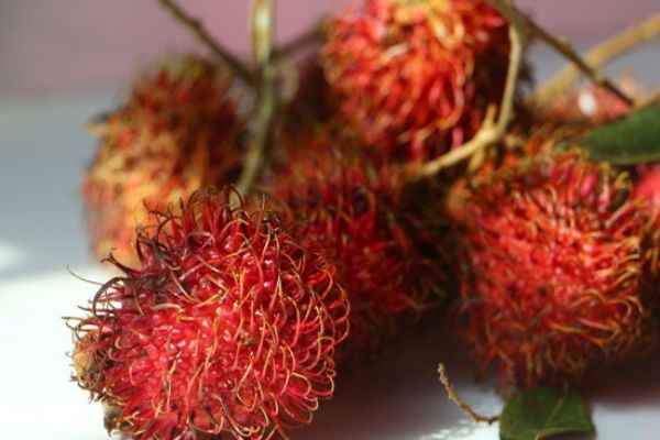 紅毛丹的營養價值及禁忌 紅毛丹的吃法