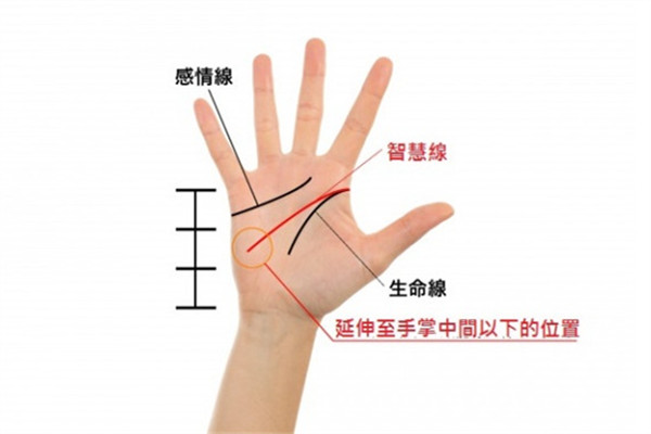 2019年手相看運(yùn)勢(shì) 盤(pán)點(diǎn)強(qiáng)勢(shì)三手相