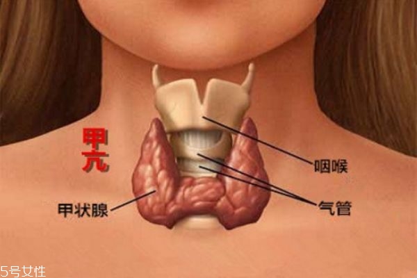 治療?甲亢的中醫具體實施方法
