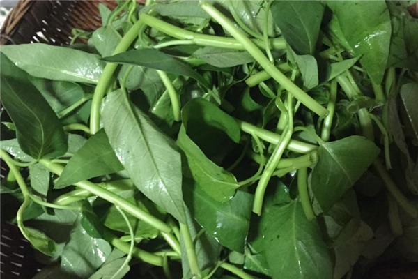 空心菜什么季節有 夏季比較常見