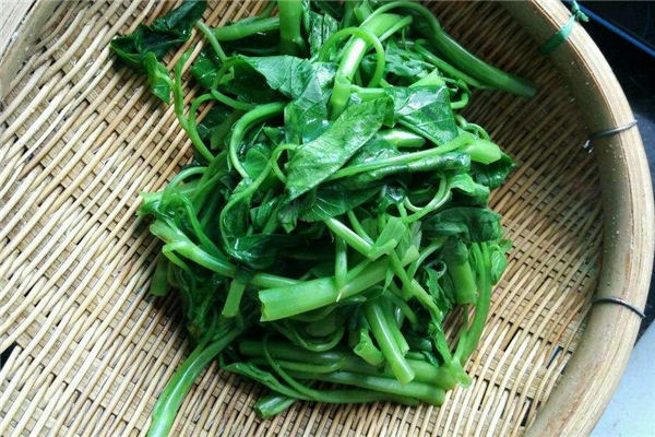 空心菜和木耳能一起吃嗎 營養價值很高
