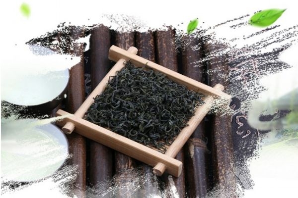 嶗山綠茶的真假鑒別 教您如何識別劣質的嶗山綠茶