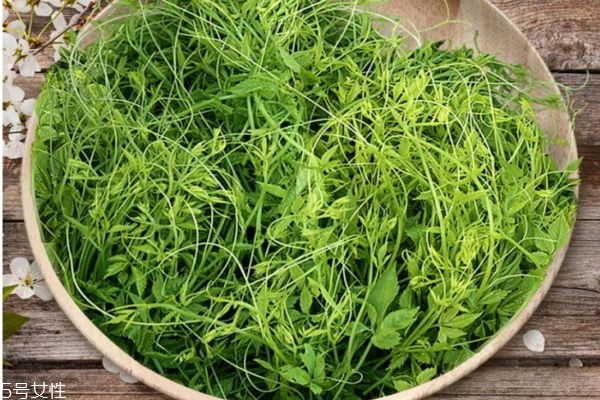 絞股藍茶哪個好 哪里產的絞股藍茶好