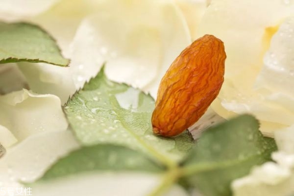 新疆葡萄干價(jià)格多少錢(qián)一斤 新疆葡萄干黑加侖