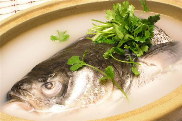 鳙魚是什么魚 營養美味食材