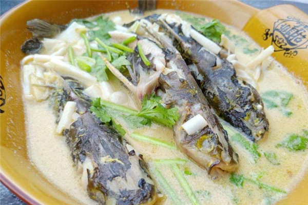 昂刺魚(yú)湯怎么做湯白 魚(yú)湯小技巧