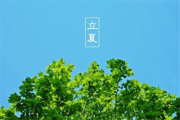 立夏風俗吃什么 立夏怎么吃好