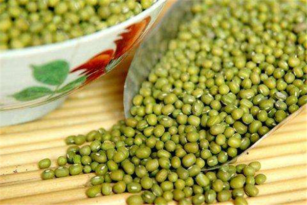 綠豆為什么會發芽 綠豆怎么保存