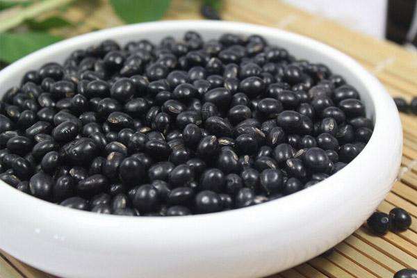 黑豆為什么治脫發 黑豆治脫發原因
