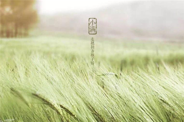 小滿有什么民俗活動 小滿節氣的民俗