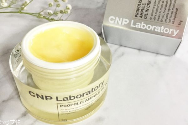 cnp蜂膠滋養霜怎么樣 cnp蜂膠保濕滋養霜