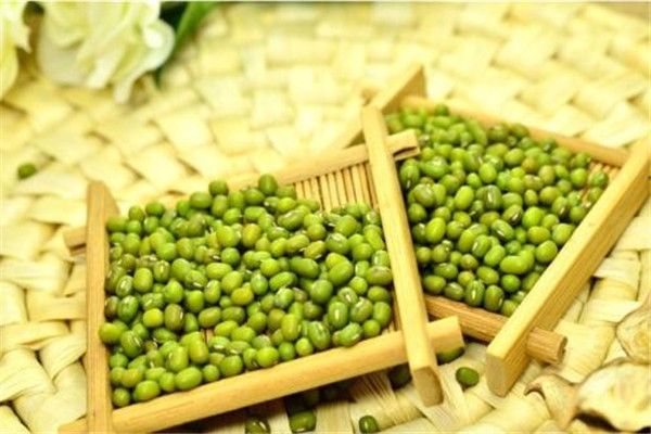 綠豆發芽還能吃嗎 綠豆為什么會發芽