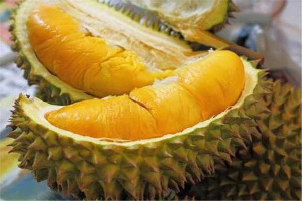 榴蓮是熱帶水果嗎 榴蓮是不是發物