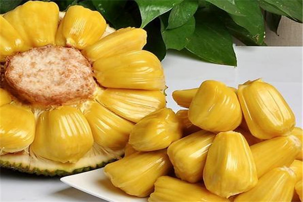 菠蘿蜜有黑點能吃嗎 菠蘿蜜的功效與營養是什么