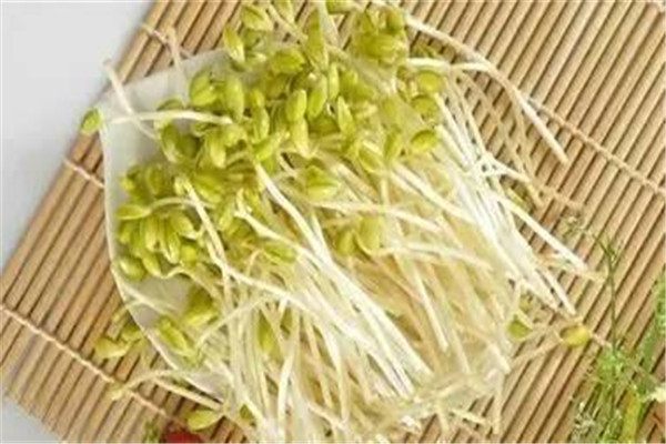 綠豆芽是豆制品嗎 綠豆芽是不是發物