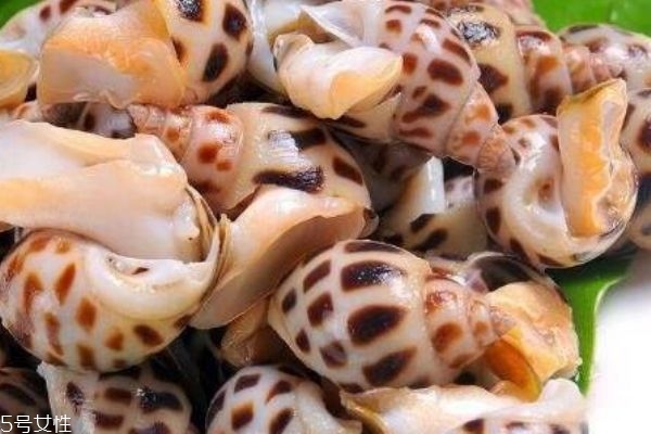 海螺生活在哪里呢 海螺有什么營養價值嗎