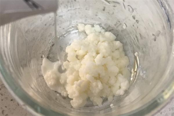 雪蓮菌什么人不適合吃 經期可以吃雪蓮菌嗎