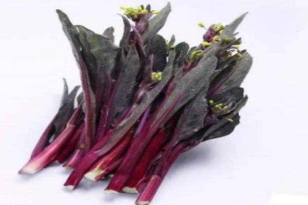 什么是紅菜苔呢 紅菜苔有什么營養(yǎng)價(jià)值呢