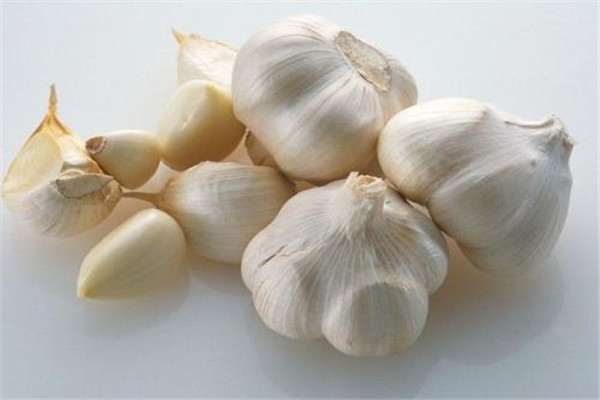 生吃大蒜對(duì)腎有什么好處 生吃大蒜不宜過(guò)量