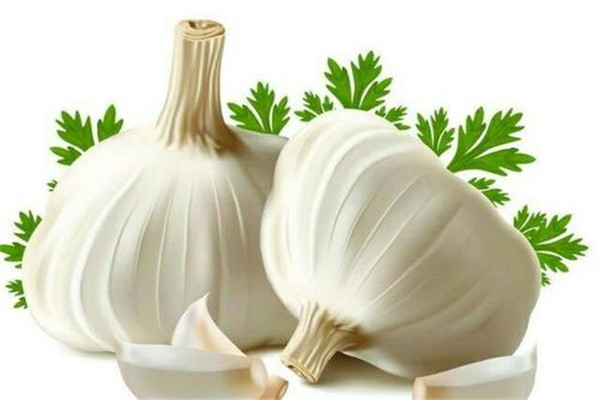 生吃大蒜對(duì)腎有什么好處 生吃大蒜不宜過(guò)量