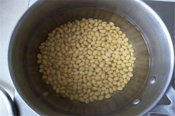 豆漿是膠體嗎 豆漿屬于膠體嗎
