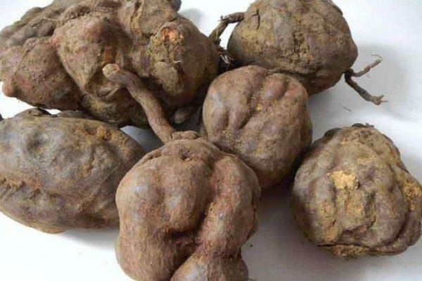 什么是何首烏呢 何首烏有什么營養價值呢