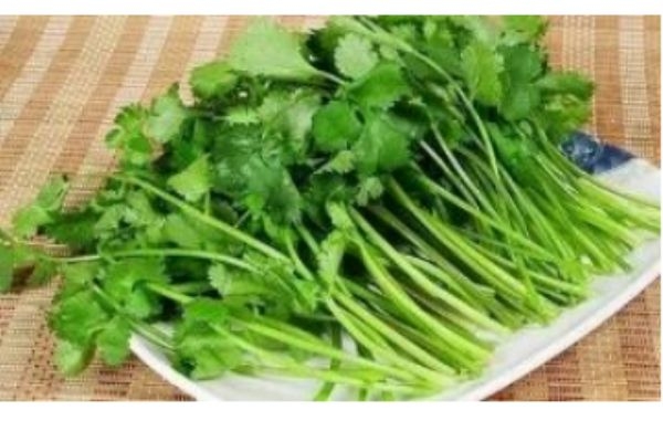 什么是蕪荽是 蕪荽有什么營養價值呢