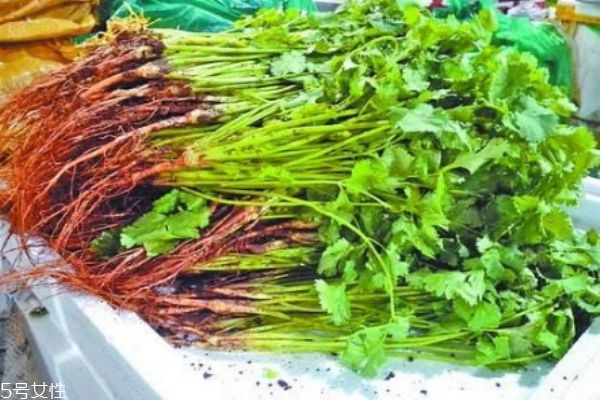 什么是蕪荽是 蕪荽有什么營養價值呢