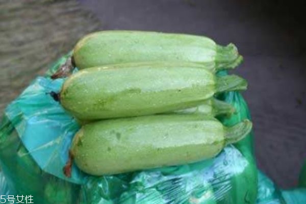 什么是北瓜呢 北瓜有什么營養價值呢