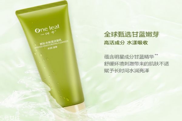 一葉子鮮補水保濕潔面乳適合膚質 一葉子鮮補水潔面用法