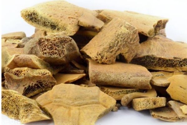 什么是龜甲呢 龜甲有什么營養價值呢