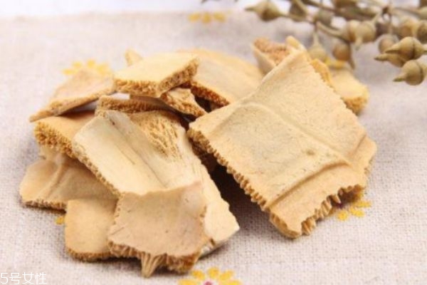 什么是龜甲呢 龜甲有什么營養價值呢