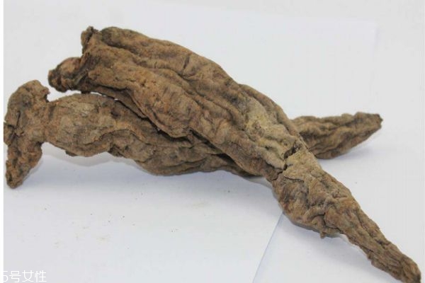 玄參有什么作用呢 玄參生長在什么環境里呢