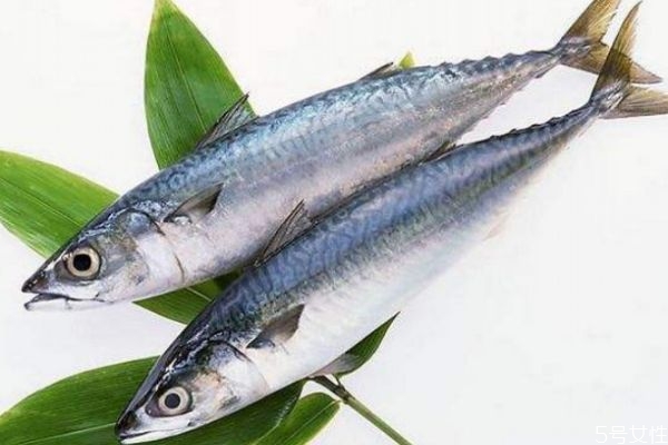 鰱魚有什么營養價值呢 吃鰱魚有什么好處呢