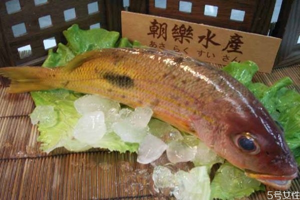 什么是鱒魚呢 鱒魚有什么營養價值呢