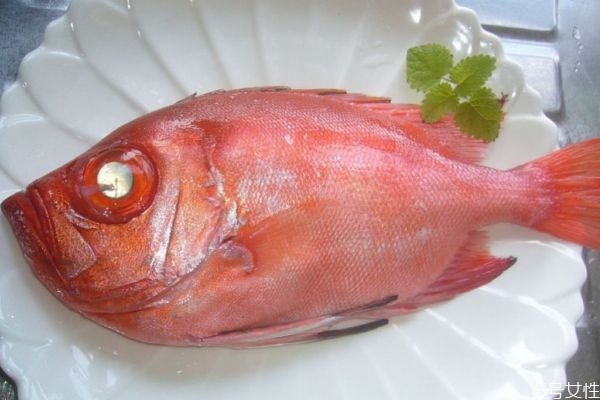 魚眼睛有什么營養價值呢 吃魚眼睛對人眼有好處嗎