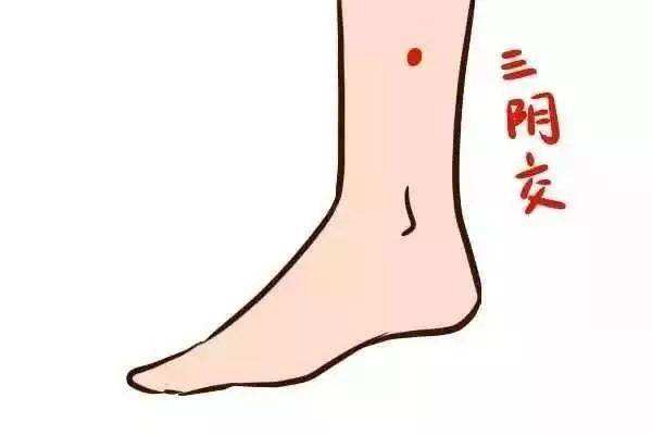 經絡按摩減肥有效嗎 經絡按摩減肥有什么特點