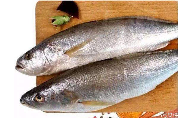 什么是黃姑魚呢 黃姑魚有什么營養價值呢