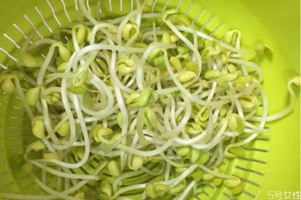 豆芽有什么營養價值呢 吃豆芽有什么好處呢