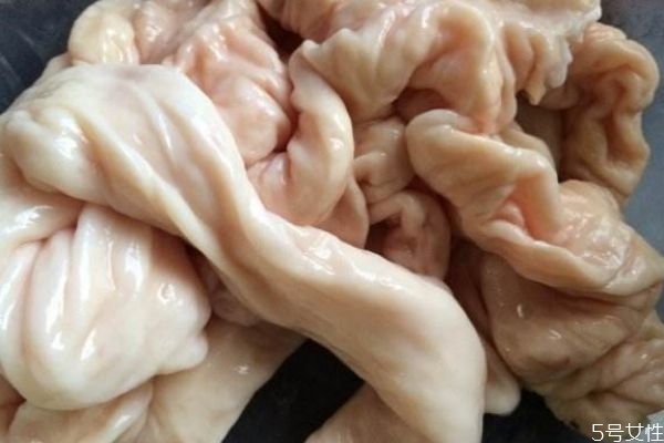 豬腸有什么營養價值呢 吃豬腸有什么好處呢