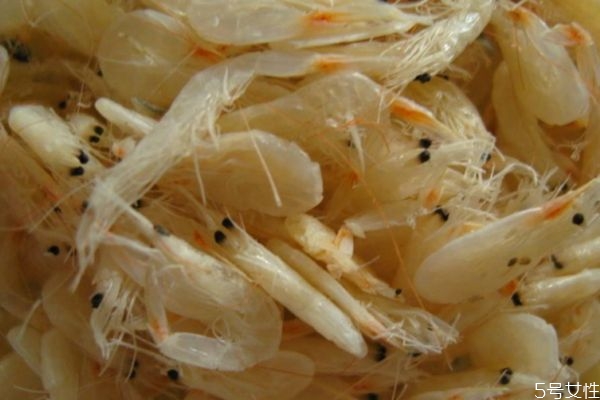 蝦皮有什么營養(yǎng)價(jià)值呢 吃蝦皮的好處有什么呢