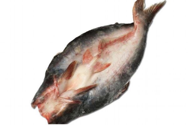 什么是龍利魚呢 龍利魚有什么營養價值呢
