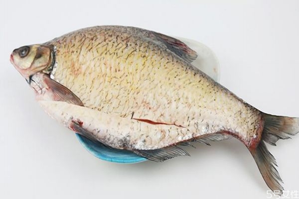 什么是武昌魚呢 武昌魚有什么營養價值呢
