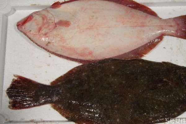 什么是小嘴魚呢 小嘴魚有什么營養價值呢