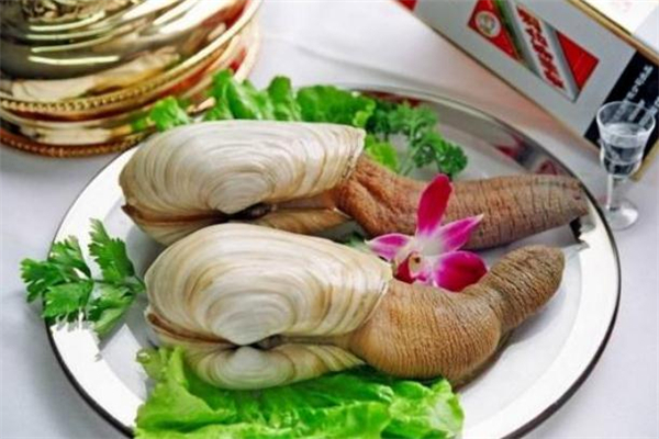 象拔蚌是海鮮還是河鮮 象拔蚌是發物嗎