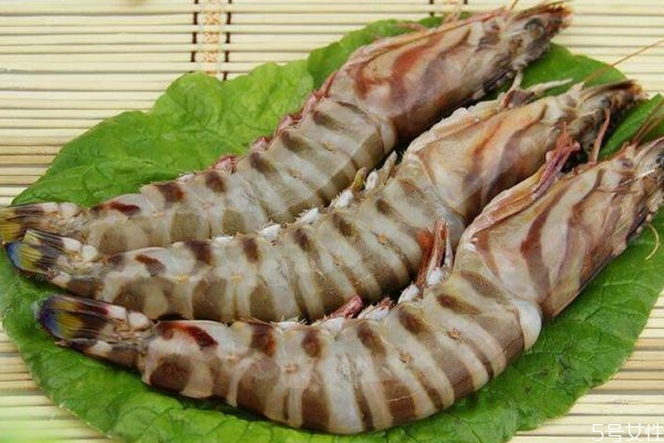竹節蝦為什么叫竹節蝦呢 竹節蝦的熱量有多少呢