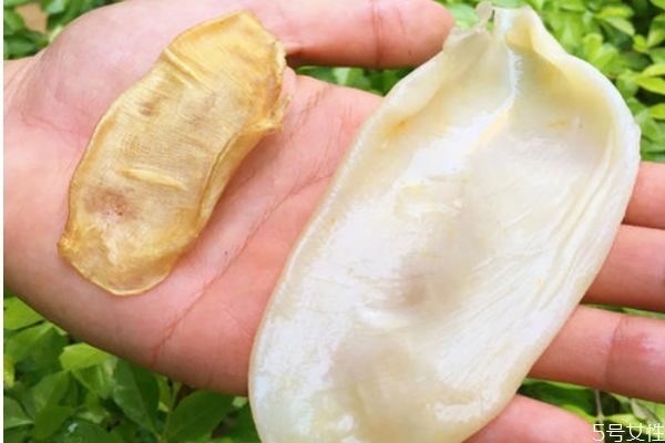 魚肚可以吃嗎 魚肚有什么營養價值呢